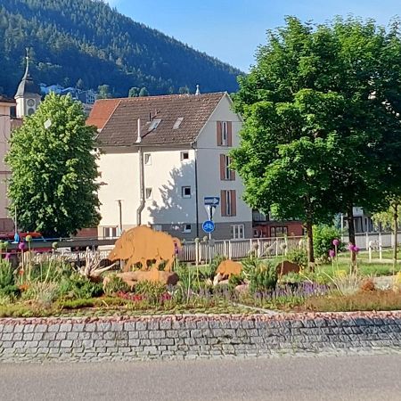 Apartement Am Waldrand Bad Wildbad Luaran gambar