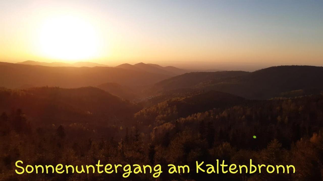 Apartement Am Waldrand Bad Wildbad Luaran gambar