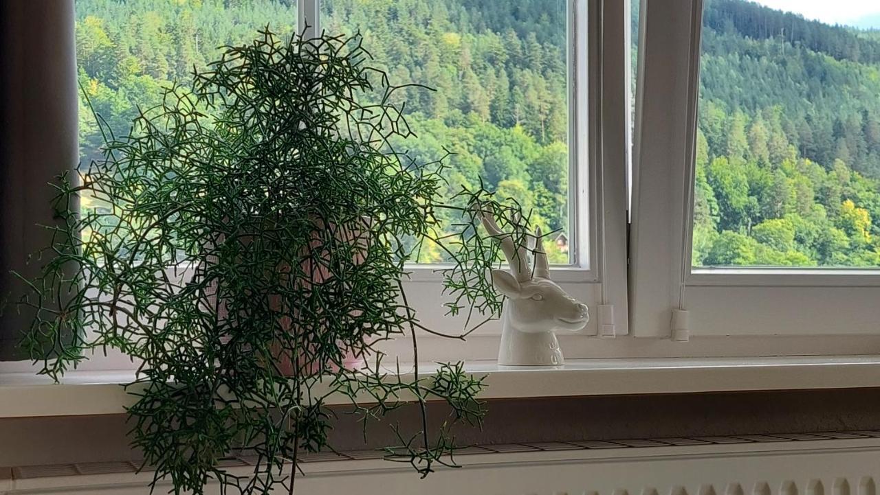Apartement Am Waldrand Bad Wildbad Luaran gambar