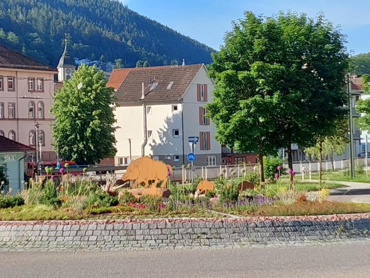 Apartement Am Waldrand Bad Wildbad Luaran gambar